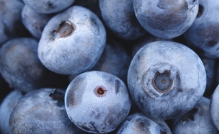 Tenshi vs Other UK Blueberry Matchas – Why Real Blueberries Win