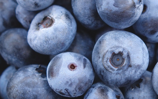 Tenshi vs Other UK Blueberry Matchas – Why Real Blueberries Win