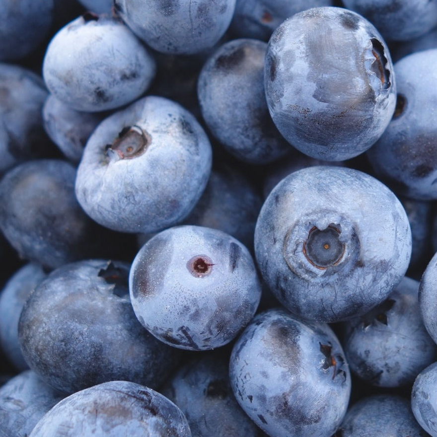 Tenshi vs Other UK Blueberry Matchas – Why Real Blueberries Win